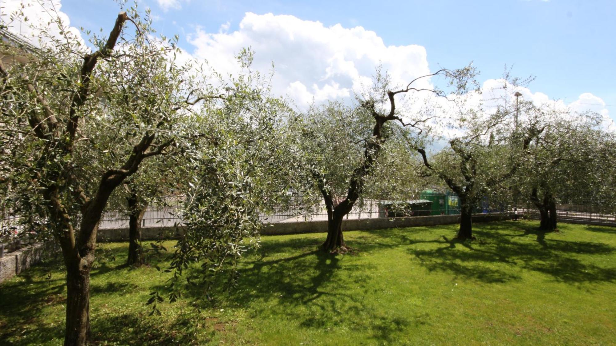 B&B Casa Wanda Since 1999 Riva del Garda Camera foto